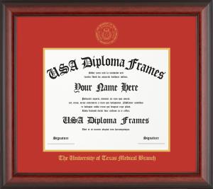 Image of MD/PhD Frame 17x21, Gold Accent Orange Mat